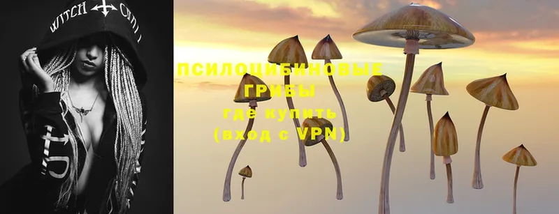 Псилоцибиновые грибы MAGIC MUSHROOMS  Кириши 